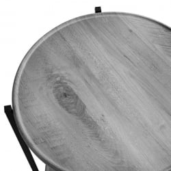 Стол журнальный БеаутйСтйле 21 Орех гикори грай / BeautyStyle gray