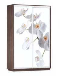 Шкаф-купе с фотопечатью Экспресс Дуо 1400х2200х Белая орхидея/Венге / 1400х2200h