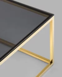 Журнальный стол ТАУН 120кс60 Золото (стекло смоке) / 120x60 smoke)