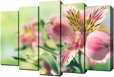 Модульная картина Топлигхт хсм ТЛ-ПМ0010 / Toplight TL-PM0010