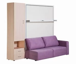 Шкаф-диван-кровать Смарт 1 3-в-1 левый 1600 Ясень шимо темный