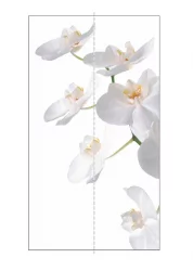 Шкаф-купе двухдверный Экспресс Дуо 1200х2200х Орхидея белая/Ясень шимо светлый / 1200х2200h