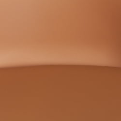 Стул ТУЛИП (мод. 73-1) дерево/пластик/экокожа, 47,5кс55кс80 см, Бежевый (Латте) / TULIP (mod. 47,5x55x80 (Latte)