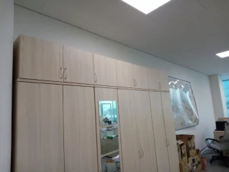 Антресоль Твин 16.13.131 Туя / Twin