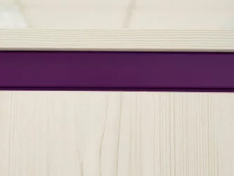 Детский шкаф Мегаполис 55.01.1 Сосна Астрид