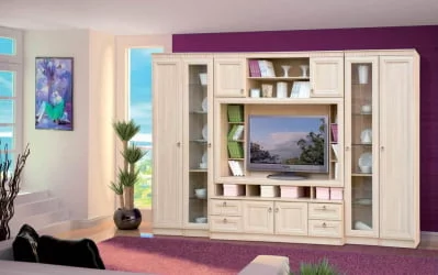 Распашной шкаф в гостиную 603  Денвер светлый