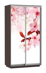 Шкаф-купе со стеклом Экспресс Дуо 1200х2400х Сакура/Венге / 1200х2400h