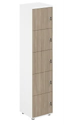 Локер 5 ячеек Сигма SG.818.WH.OD Белый Дуб темный / Sigma