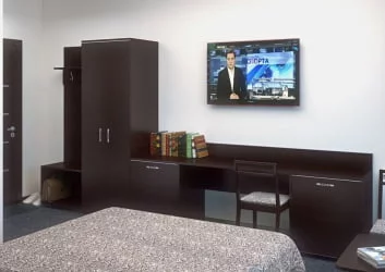 Шкаф-купе для одежды ЛИГХТ С-ШКЗ-65 Венге Цаво / LIGHT