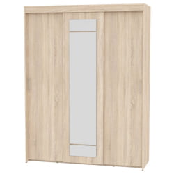 Шкаф-купе Т-3-230х175х60-М(ДСС-12) / T-3-230х175х60-M(ДСС-12)