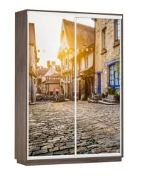 Шкаф-купе двухдверный Экспресс Дуо 1600х2200х Улица/Венге / 1600х2200h