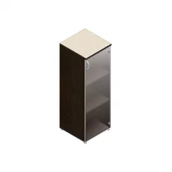 Шкаф для документов с прозрачными стеклами Р.Пс-3СБ Венге/Дуб