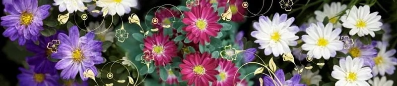 Глянцевый фартук с эффектом мерцания (КОМПОЗИТ) Герберы