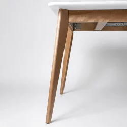 Стол обеденный Пегас Плус 160кс95 Морилка Дуб золотой Морилка Орех / Plus 160x95