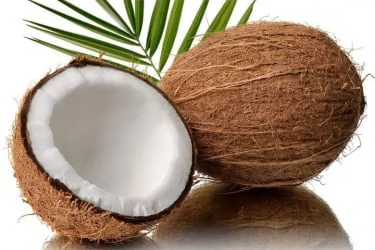 Наматрасник корректирующий Кокос+Латекс 80-190