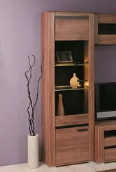 Шкаф со стеклом Б2