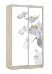 Шкаф-купе двухдверный Экспресс Дуо 1200х2400х Орхидея белая/Дуб сонома / 1200х2400h