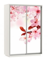 Шкаф-купе двухдверный Экспресс Дуо 1600х2400х Сакура/Белый снег / 1600х2400h