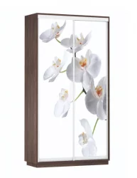 Шкаф-купе со стеклом Экспресс Дуо 1200х2400х Орхидея белая/Венге / 1200х2400h