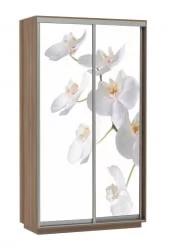 Шкаф-купе с фотопечатью Экспресс Дуо 1200х2200х Орхидея белая/Ясень шимо тёмный / 1200х2200h