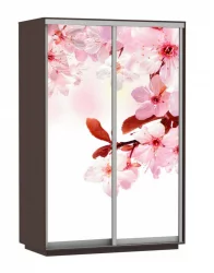 Шкаф-купе двухдверный Экспресс Дуо 1600х2400х Сакура/Венге / 1600х2400h