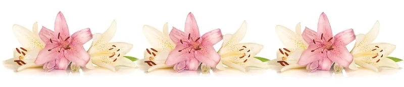 Глянцевый фартук (КОМПОЗИТ) КМ 236 / KM