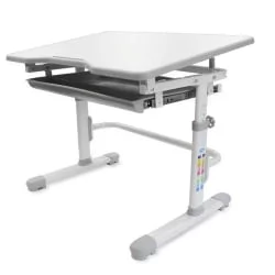 Детский стол со стульчиками РИФФОРМА СЕТ-10 Белый Серый / RIFFORMA SET-10