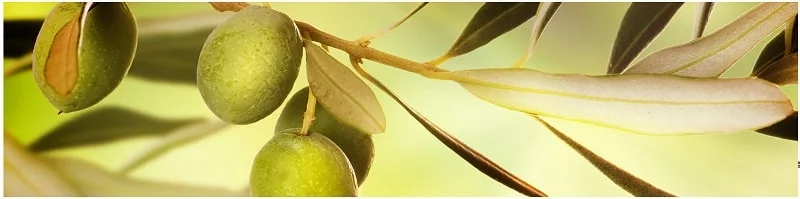 Глянцевый фартук (МДФ) АГ 18 / AG_0