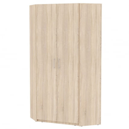 Шкаф распашный ЙР-230х1096(ДСС-3) / YR-230х1096(ДСС-3)_0