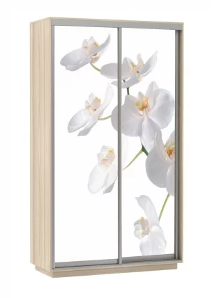 Шкаф-купе двухдверный Экспресс Дуо 1200х2200х Орхидея белая/Ясень шимо светлый / 1200х2200h_0
