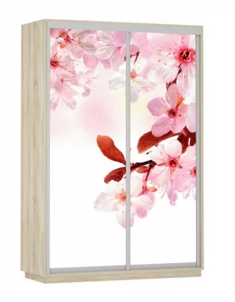Шкаф-купе двухдверный Экспресс Дуо 1400х2400х Сакура/Дуб сонома / 1400х2400h_0