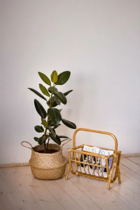 Газетница 17/13 коньяк_1