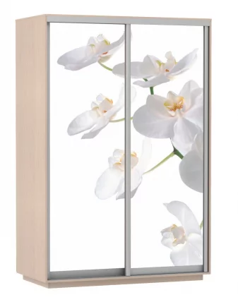 Шкаф-купе двухдверный Экспресс Дуо 1600х2400х Белая орхидея/Дуб молочный / 1600х2400h_0