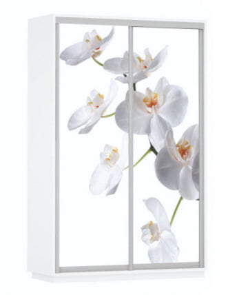Шкаф-купе двухдверный Экспресс Дуо 1400х2200х Белая орхидея/Белый снег / 1400х2200h_0