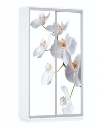 Шкаф-купе двухдверный Экспресс Дуо 1200х2200х Орхидея белая/Белый снег / 1200х2200h_0