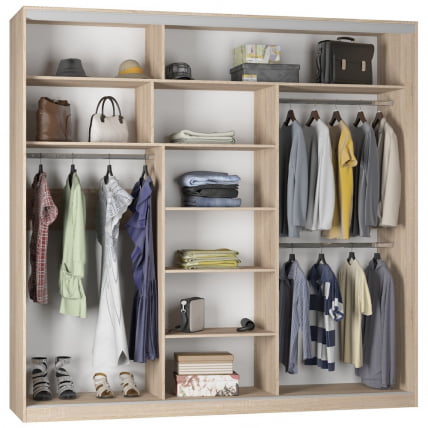 Шкаф-купе Б-230х235х60-3(ДСС-Д9Д9Д9) / B-230х235х60-3(ДСС-D9D9D9)_1