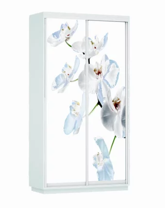 Шкаф-купе двухдверный Экспресс Хит Орхидея белая/Белый снег_0