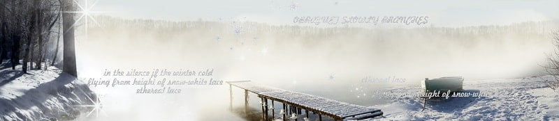 Глянцевый фартук с эффектом мерцания (КОМПОЗИТ) Зима_0