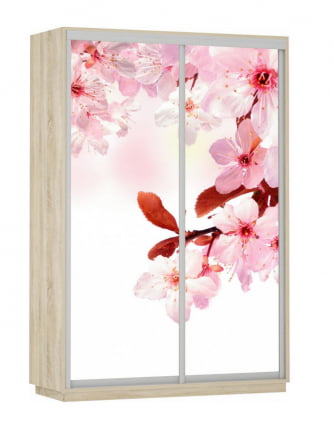 Шкаф-купе двухдверный Экспресс Дуо 1400х2200х Сакура/Дуб сонома / 1400х2200h_0