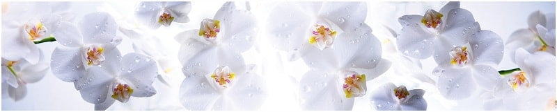 Глянцевый фартук (КОМПОЗИТ) КМ 15 / KM_0