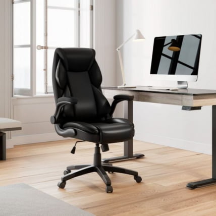 Эргономичное компьютерное кресло Еурека ОC11-Б, черное / Eureka OC11-B,_7