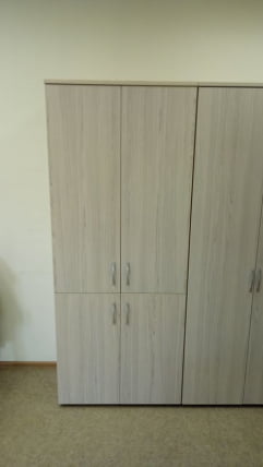 Шкаф высокий закрытый Глассй 6.19.131 Туя / Glassy_3