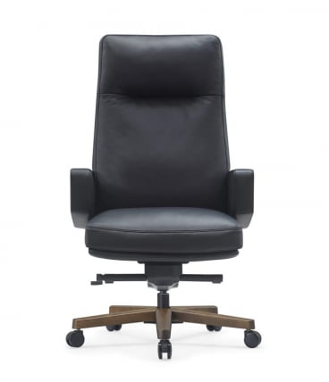 Кресло Рафаел А2119 Черный / Rafael A2119_4