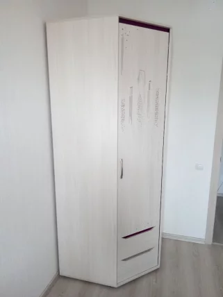 Шкаф для одежды угловой (правый) Мегаполис 55.03 Сосна Астрид_11