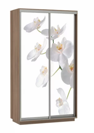 Шкаф-купе двухдверный Экспресс Дуо 1200х2400х Орхидея белая/Ясень шимо тёмный / 1200х2400h_0