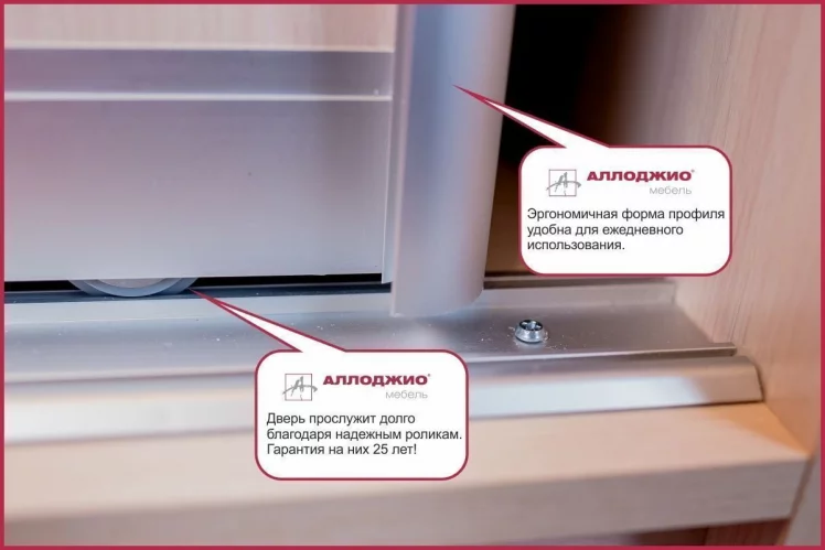 Шкаф-купе Хит-23-20-555 Ясень шимо темный_5