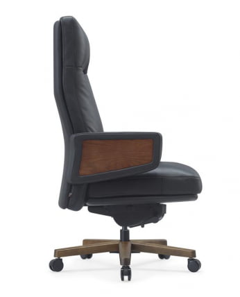 Кресло Рафаел А2119 Черный / Rafael A2119_1