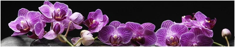 Глянцевый фартук (КОМПОЗИТ) КМ 38 / KM_0