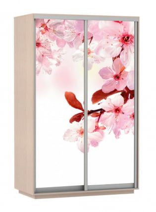 Шкаф-купе двухдверный Экспресс Дуо 1400х2200х Сакура/Дуб молочный / 1400х2200h_0