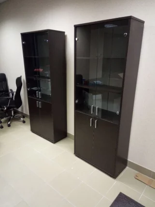 Двери стеклянные ТРД29654409 / TRD29654409_1